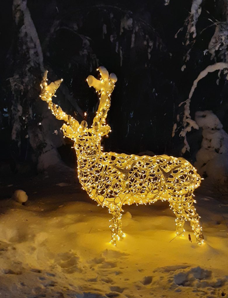 Itä-Suomen hovioikeuden jouluntoivotus.